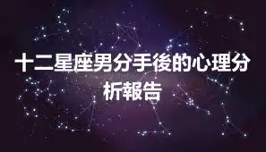 十二星座男分手後的心理分析報告