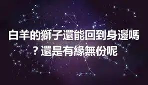 白羊的獅子還能回到身邊嗎？還是有緣無份呢