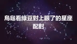烏龜看綠豆對上眼了的星座配對