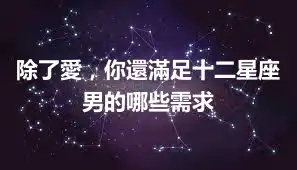 除了愛，你還滿足十二星座男的哪些需求