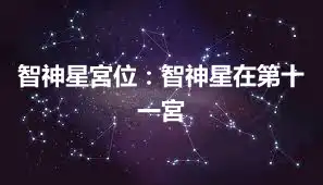 智神星宮位：智神星在第十一宮
