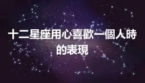 十二星座用心喜歡一個人時的表現