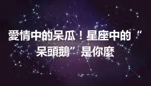 愛情中的呆瓜！星座中的“呆頭鵝”是你麼