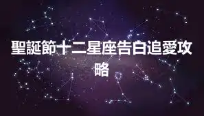 聖誕節十二星座告白追愛攻略