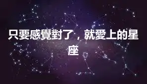 只要感覺對了，就愛上的星座