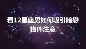 看12星座男如何吸引暗戀物件注意