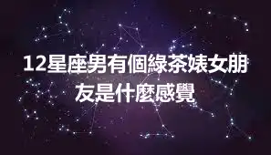 12星座男有個綠茶婊女朋友是什麼感覺