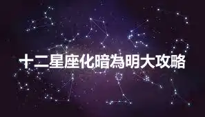 十二星座化暗為明大攻略